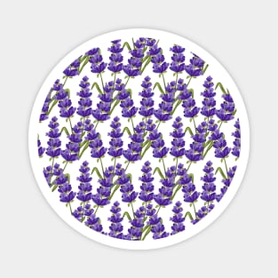 Lavender Flowers Pattern Magnet